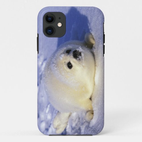 North America Canada Gulf of St Lawrence 4 iPhone 11 Case