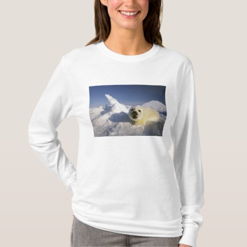 North America Canada Gulf of St Lawrence 5 T_Shirt