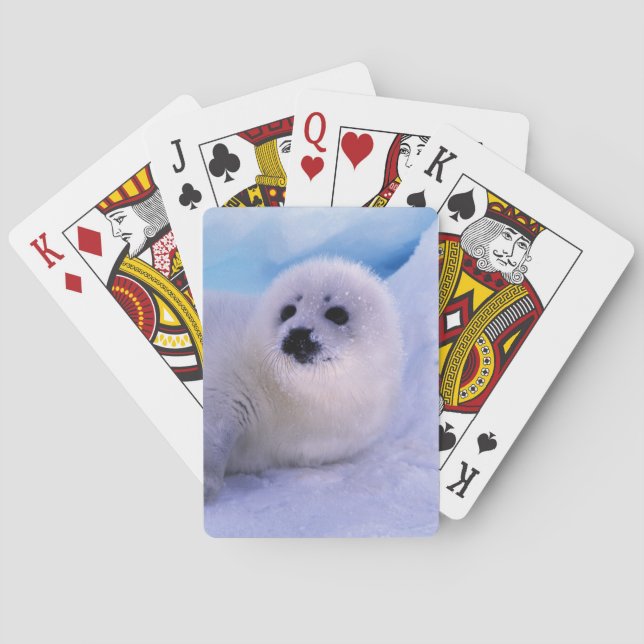 North America, Canada, Gulf of St. Lawrence Poker Cards (Back)