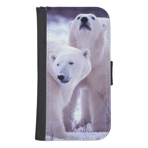 North America Canada Manitoba Churchill 2 Samsung S4 Wallet Case