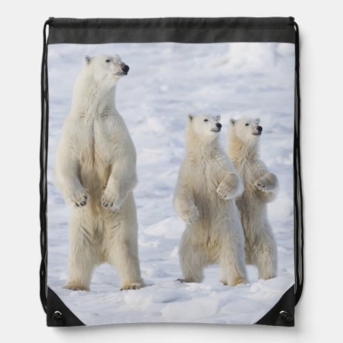 North America Canada Manitoba Churchill 5 Drawstring Bag