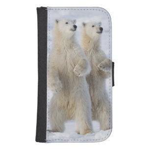 North America, Canada, Manitoba, Churchill. 5 Samsung S4 Wallet Case