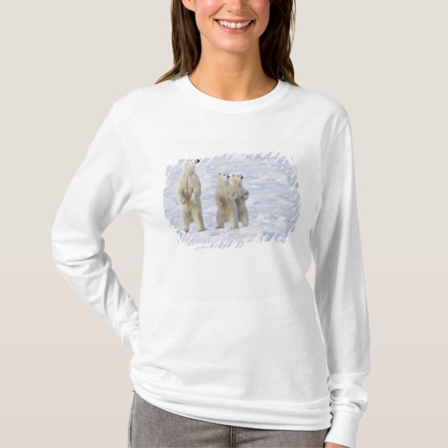 North America, Canada, Manitoba, Churchill. 5 T-Shirt (Front)