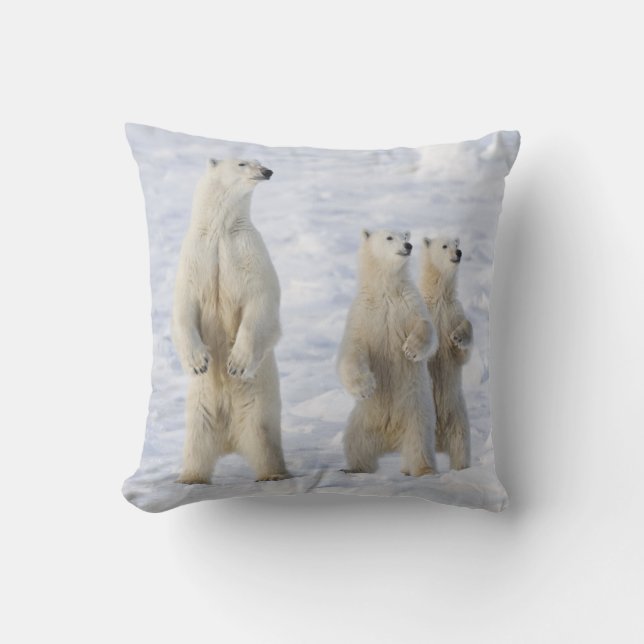 North America, Canada, Manitoba, Churchill. 5 Throw Pillow (Front)