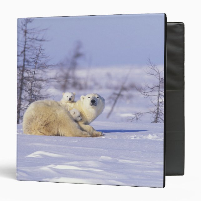 North America, Canada, Manitoba, Churchill. 9 Binder (Front/Inside)