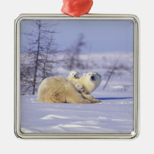 North America, Canada, Manitoba, Churchill. 9 Metal Ornament