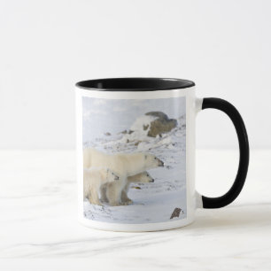 North America, Canada, Manitoba, Churchill Mug