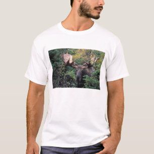 North America, Canada, Nova Scotia, Cape Breton T-Shirt