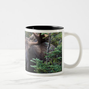 North America, Canada, Nova Scotia, Cape Breton Two-Tone Coffee Mug