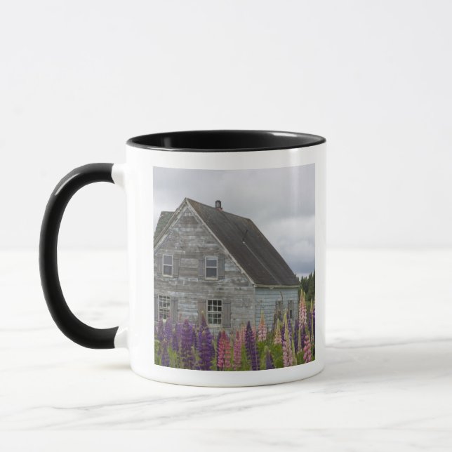 North America, Canada, Prince Edward Island, Mug (Left)