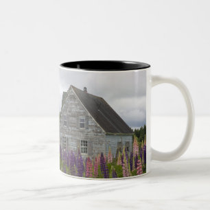 North America, Canada, Prince Edward Island, Two-Tone Coffee Mug