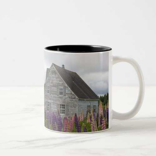 North America Canada Prince Edward Island Two_Tone Coffee Mug