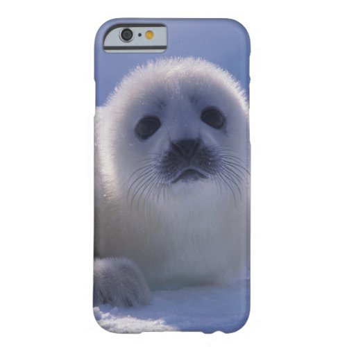 North America Canada Quebec Iles de la Barely There iPhone 6 Case