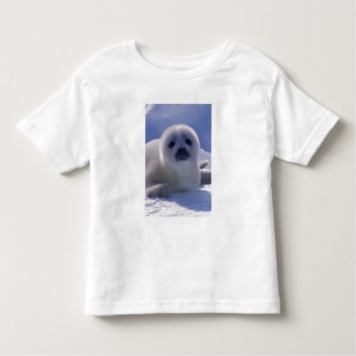 North America Canada Quebec Iles de la Toddler T_shirt