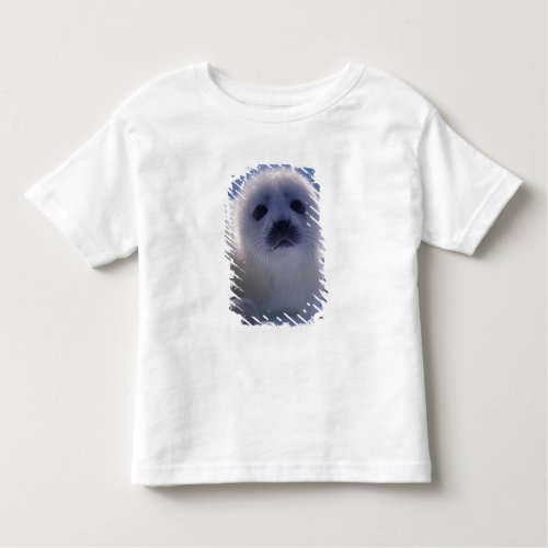 North America Canada Quebec Iles de la Toddler T_shirt