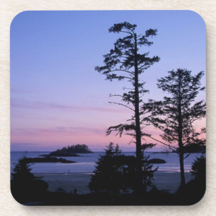North America, Canada, Vancouver Island, trees Beverage Coaster