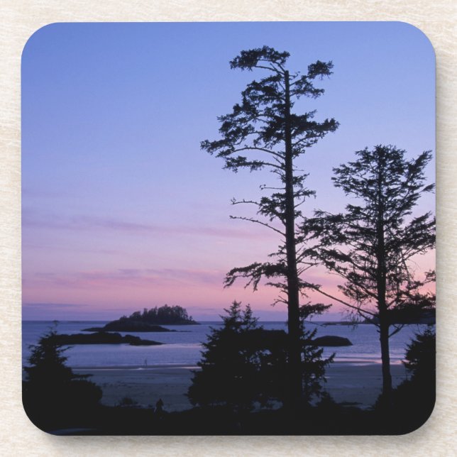 North America, Canada, Vancouver Island, trees Beverage Coaster (Front)