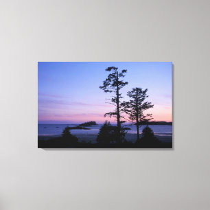 North America, Canada, Vancouver Island, trees Canvas Print