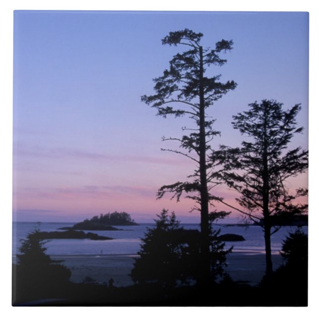 North America, Canada, Vancouver Island, trees Ceramic Tile (Front)