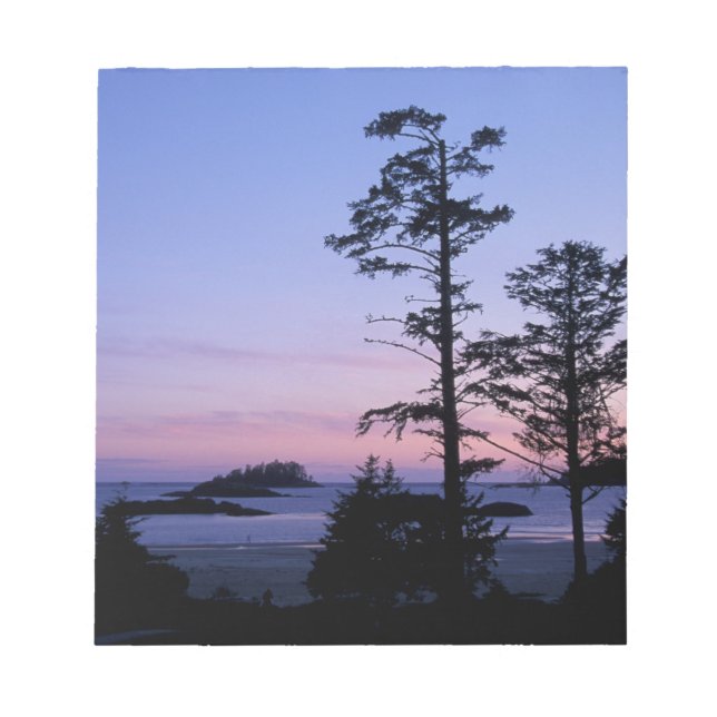North America, Canada, Vancouver Island, trees Notepad (Front)