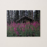 North America, Canada, Yukon. Abandoned trappers
