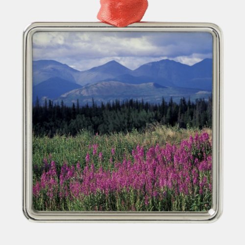 North America Canada Yukon Fireweed blooms Metal Ornament