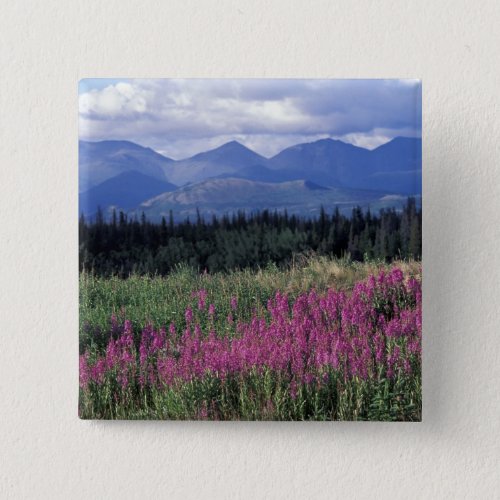 North America Canada Yukon Fireweed blooms Pinback Button