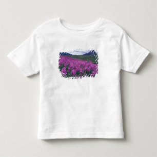 North America, Canada, Yukon. Fireweed blooms Toddler T-shirt