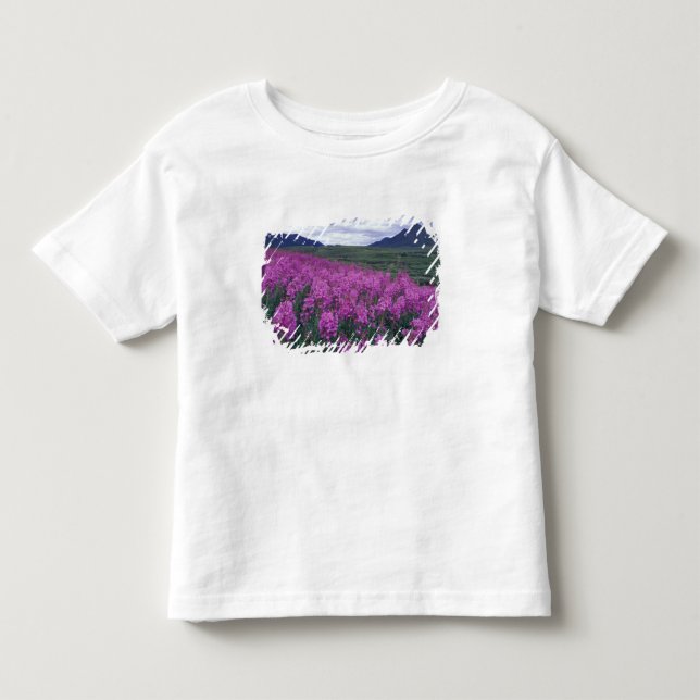 North America, Canada, Yukon. Fireweed blooms Toddler T-shirt (Front)