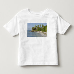 North America, Caribbean, Dominican Republic. Toddler T-shirt