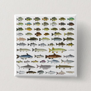 North America Freshwater Fish Group Button