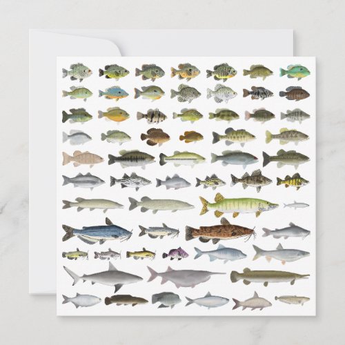 North America Freshwater Fish Group Card