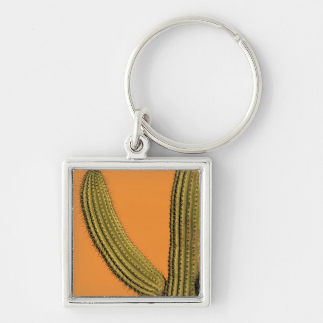 North America, Mexico, Baja California, Cabo Keychain (Front)