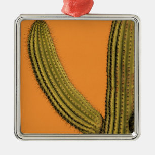 North America, Mexico, Baja California, Cabo Metal Ornament
