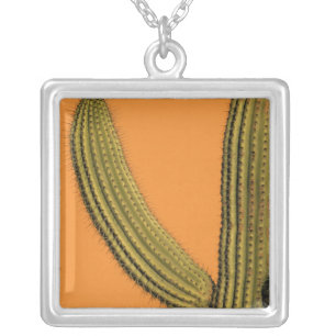North America, Mexico, Baja California, Cabo Silver Plated Necklace