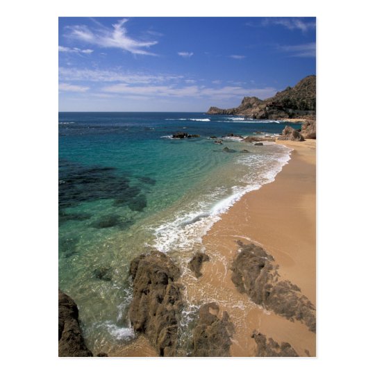 North America, Mexico, Baja California Sur, Postcard