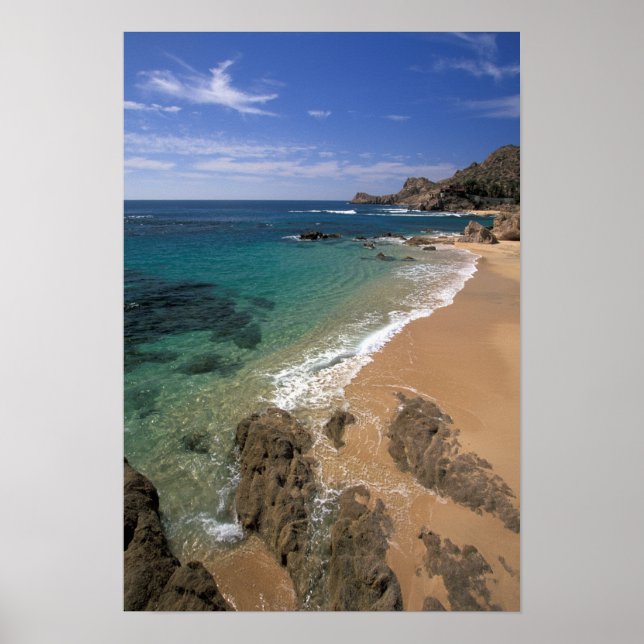 North America, Mexico, Baja California Sur, Poster (Front)