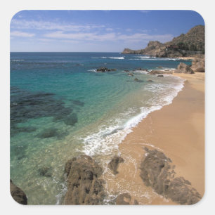 North America, Mexico, Baja California Sur, Square Sticker