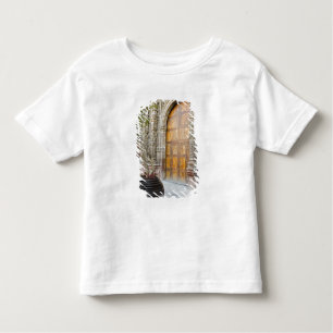 North America, Mexico, Guanajuato state, San 3 Toddler T-shirt