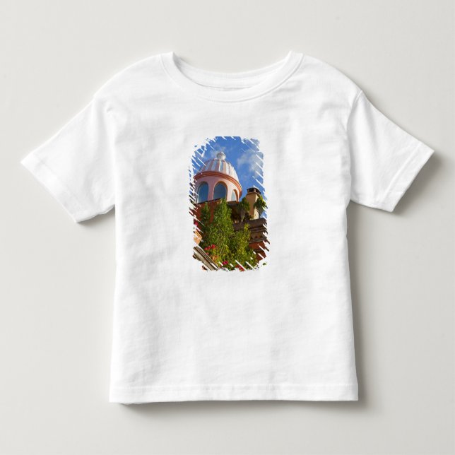 North America, Mexico, Guanajuato state, San 4 Toddler T-shirt (Front)