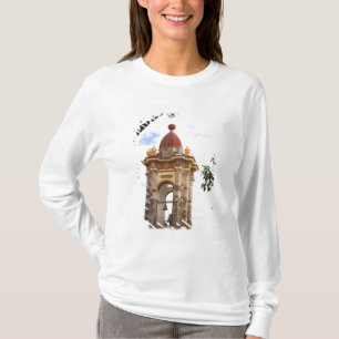 North America, Mexico, Guanajuato state, San 5 T-Shirt