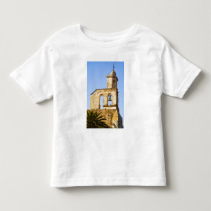 North America, Mexico, Guanajuato state, San Toddler T-shirt