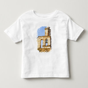North America, Mexico, Guanajuato state, San Toddler T-shirt