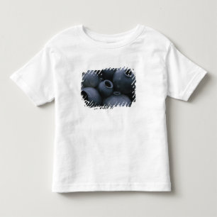 North America, Mexico, Oaxaca, San Bartolo Toddler T-shirt