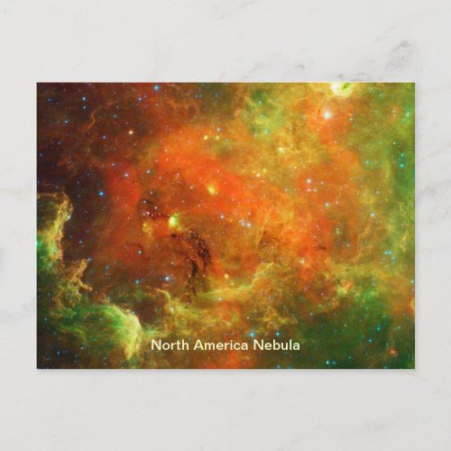 North America Nebula Postcard