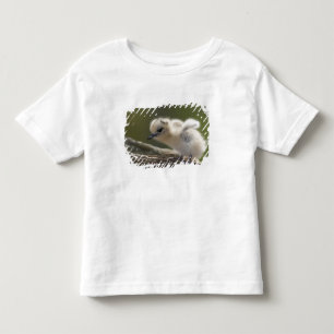 North America, Northwestern Hawaiian Islands, 2 Toddler T-shirt