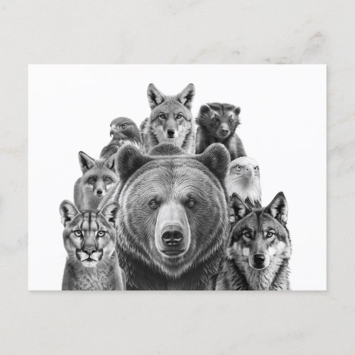 North America Predators Woodland Animals Postcard