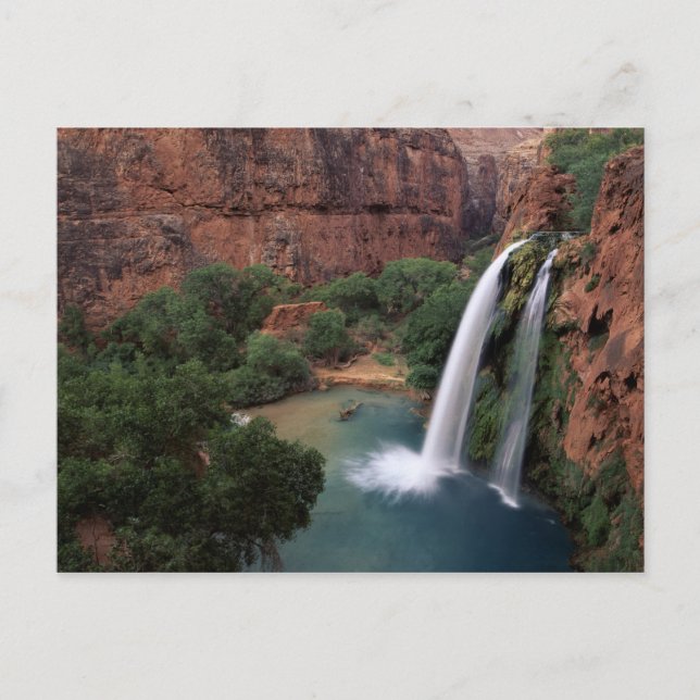 North America, U.S.A., Arizona, Havasu Canyon, Postcard (Front)