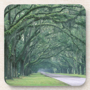 North America, U.S.A., Georgia, Savannah, Drink Coaster