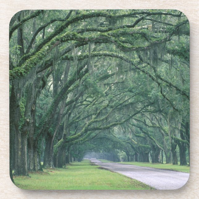 North America, U.S.A., Georgia, Savannah, Drink Coaster (Front)